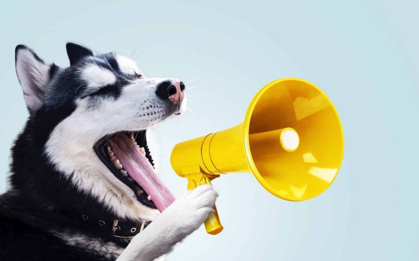 13 Breeds with Distinctive Voices You’ll Never Forget