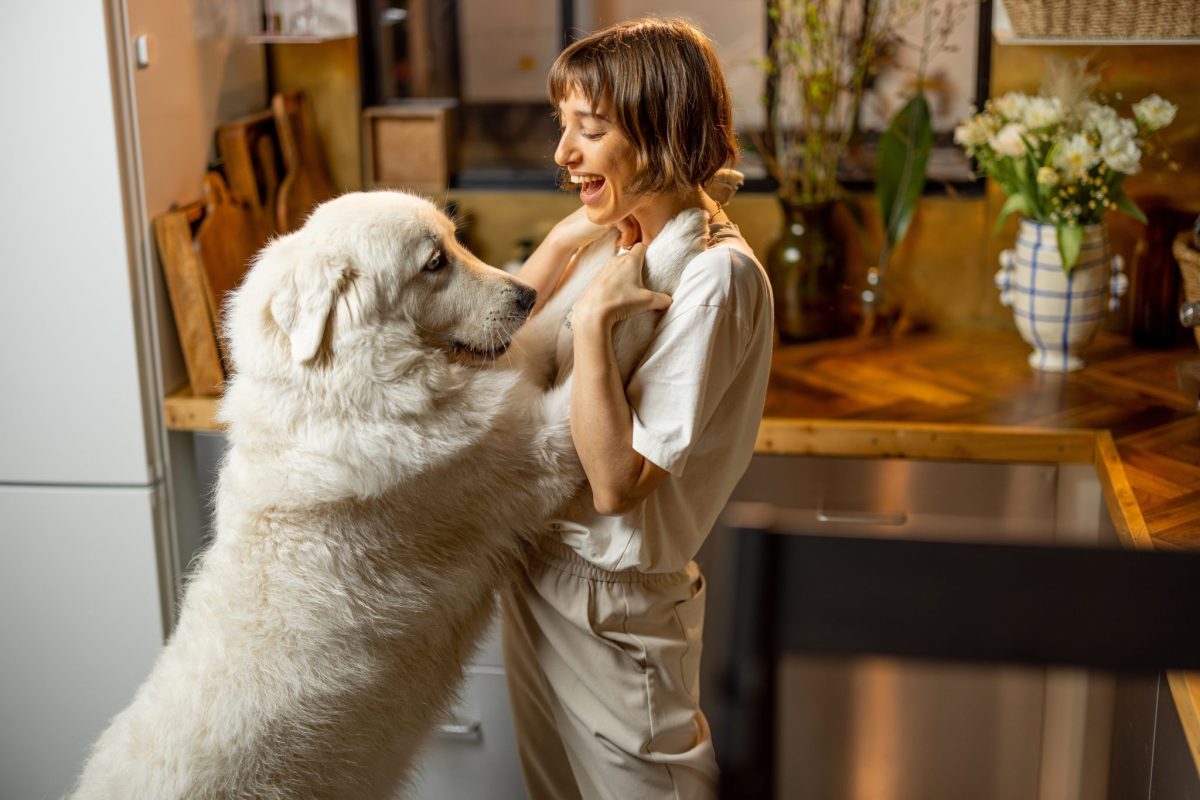 15 Exciting Indoor Dog Games To Keep Your Pup Happy And Active