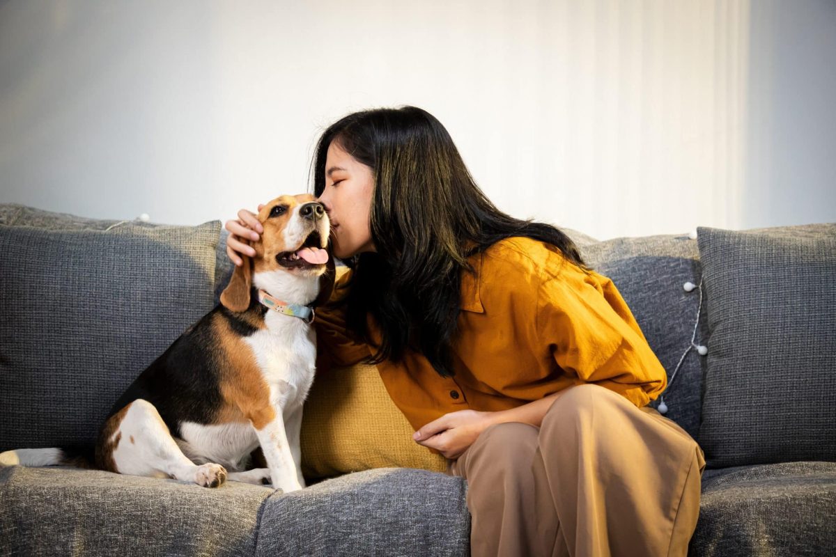 15 Traits That Make Dogs The Most Mischievous And Endearing Companions