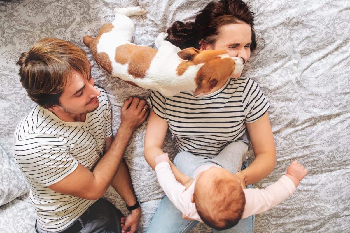 13 Reasons Why Dogs Make Every Family Happier And More Complete