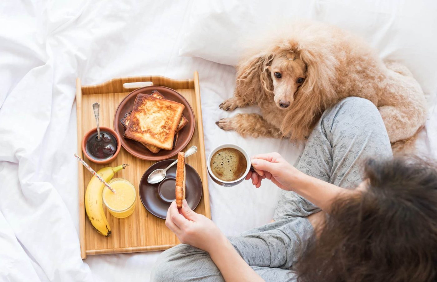 9 Reasons Dogs Are The Perfect Morning Companions