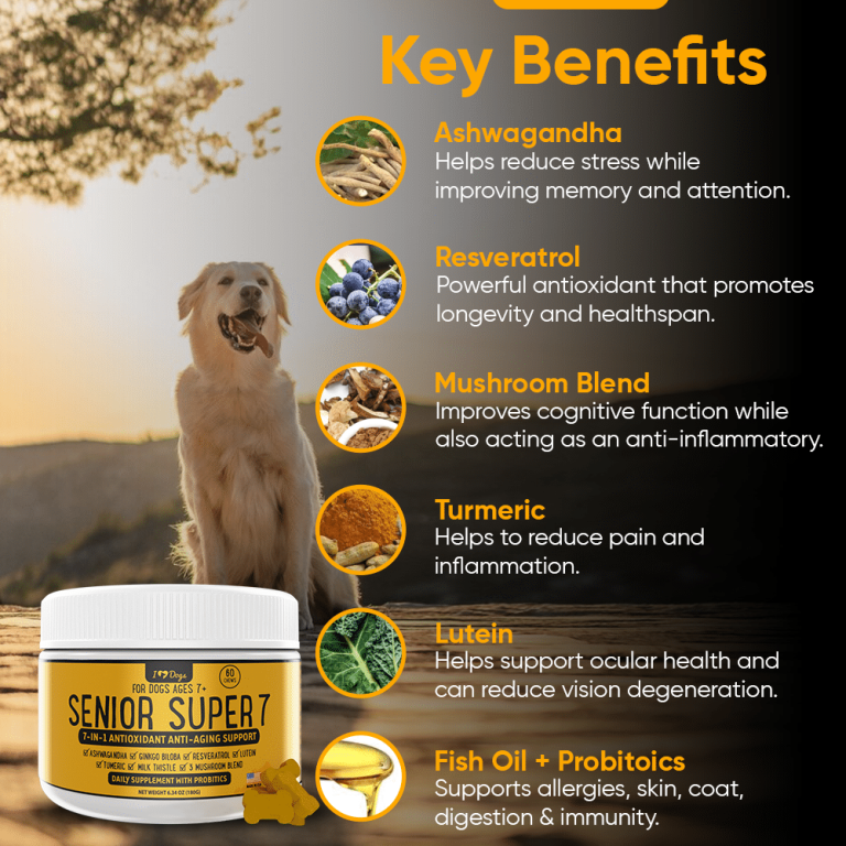 Senior Super 7 Daily MegaVitamin For Dogs 7-In-1 Antioxidant Anti-Aging ...