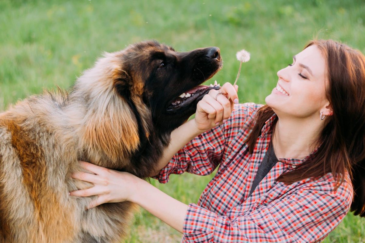 Top 15 Dog Breeds That Add Happiness To Every Corner Of Life