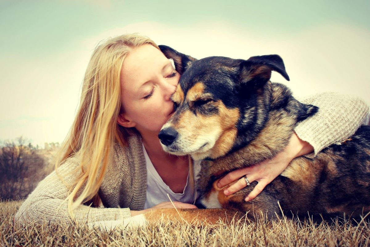 11 Quiet Life Lessons Dogs Teach Us About Love and Trust