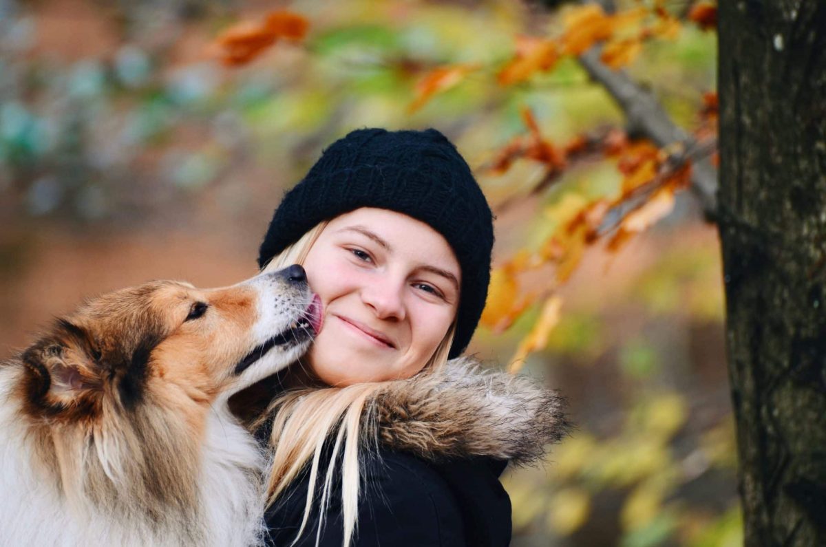 Top 11 Dog Breeds That Turn Every Moment Into a Heartwarming Memory