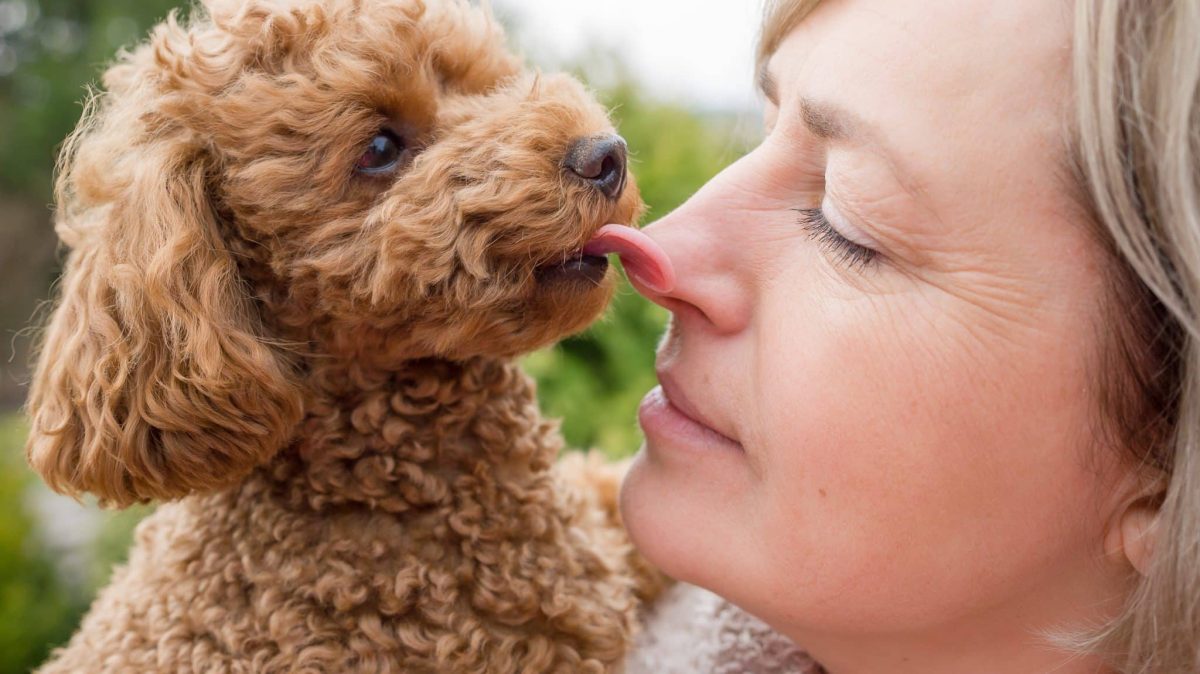 Top 11 Dog Breeds That Show Their Love In The Sweetest Ways