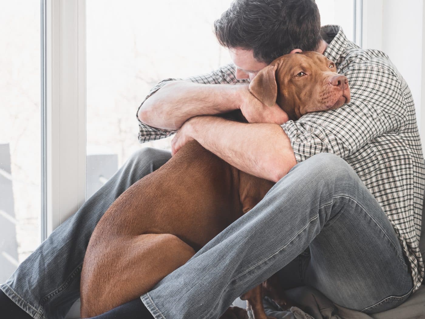 Ultimate 15 Dog Breeds That Will Never Let You Feel Alone