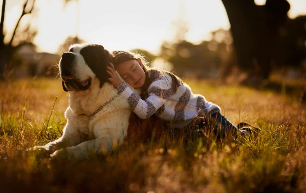 Top 11 Ways Dogs Show You They’re Always by Your Side