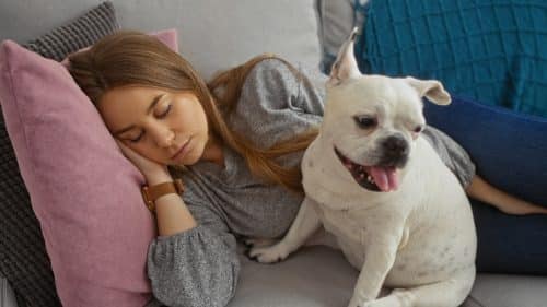 13 Signs Your Dog Knows When Something Is Wrong Before You Do