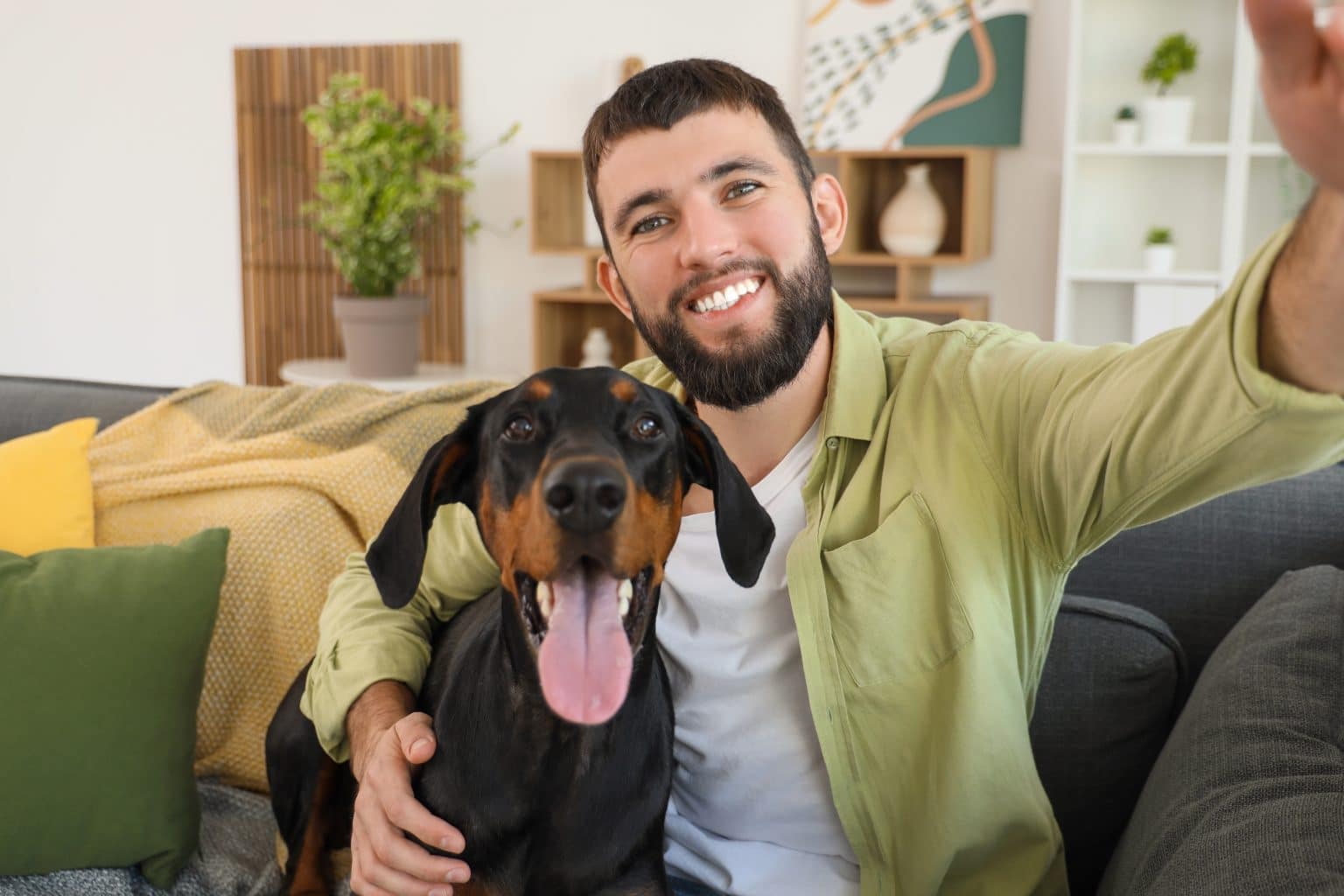 Picture of 11 Best Large Dog Breeds That Make Incredible Family Protectors ...