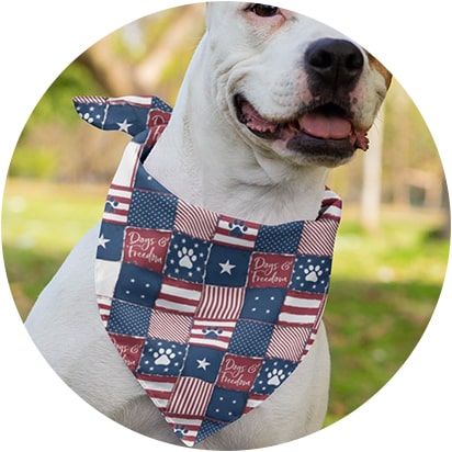 Collars & Bandanas Products