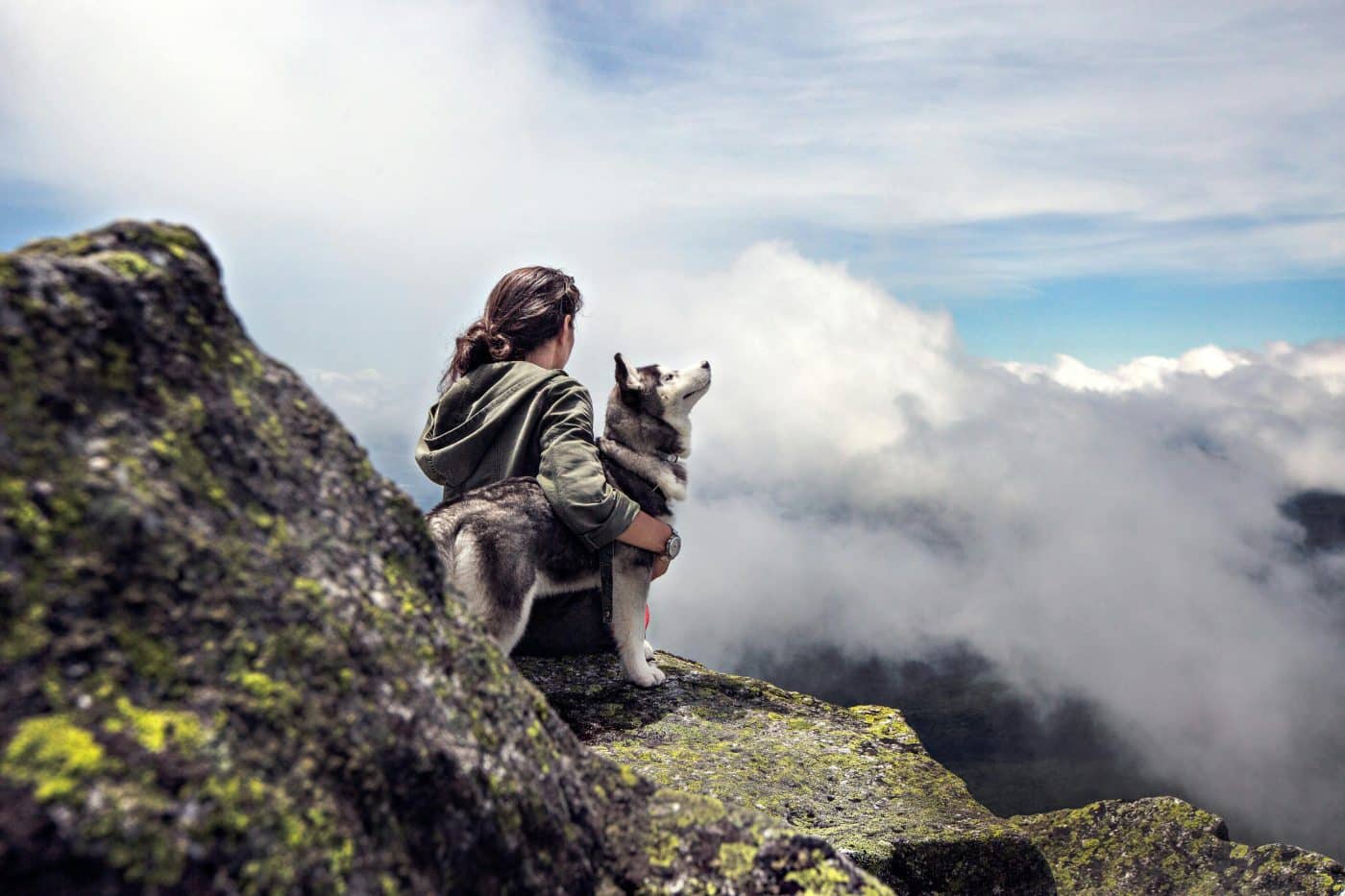 15 Reasons Dogs Are The Best Adventure Partners