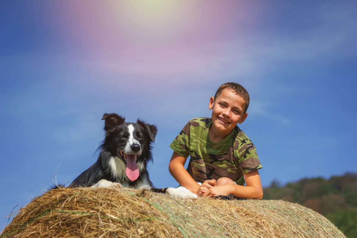 13 Dog Breeds Known For Being The Best With Kids