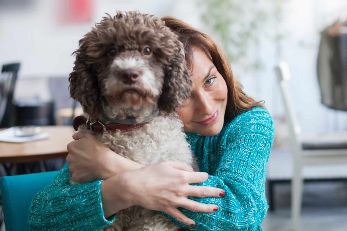 9 Low-Shedding Dog Breeds Perfect For Allergy Sufferers