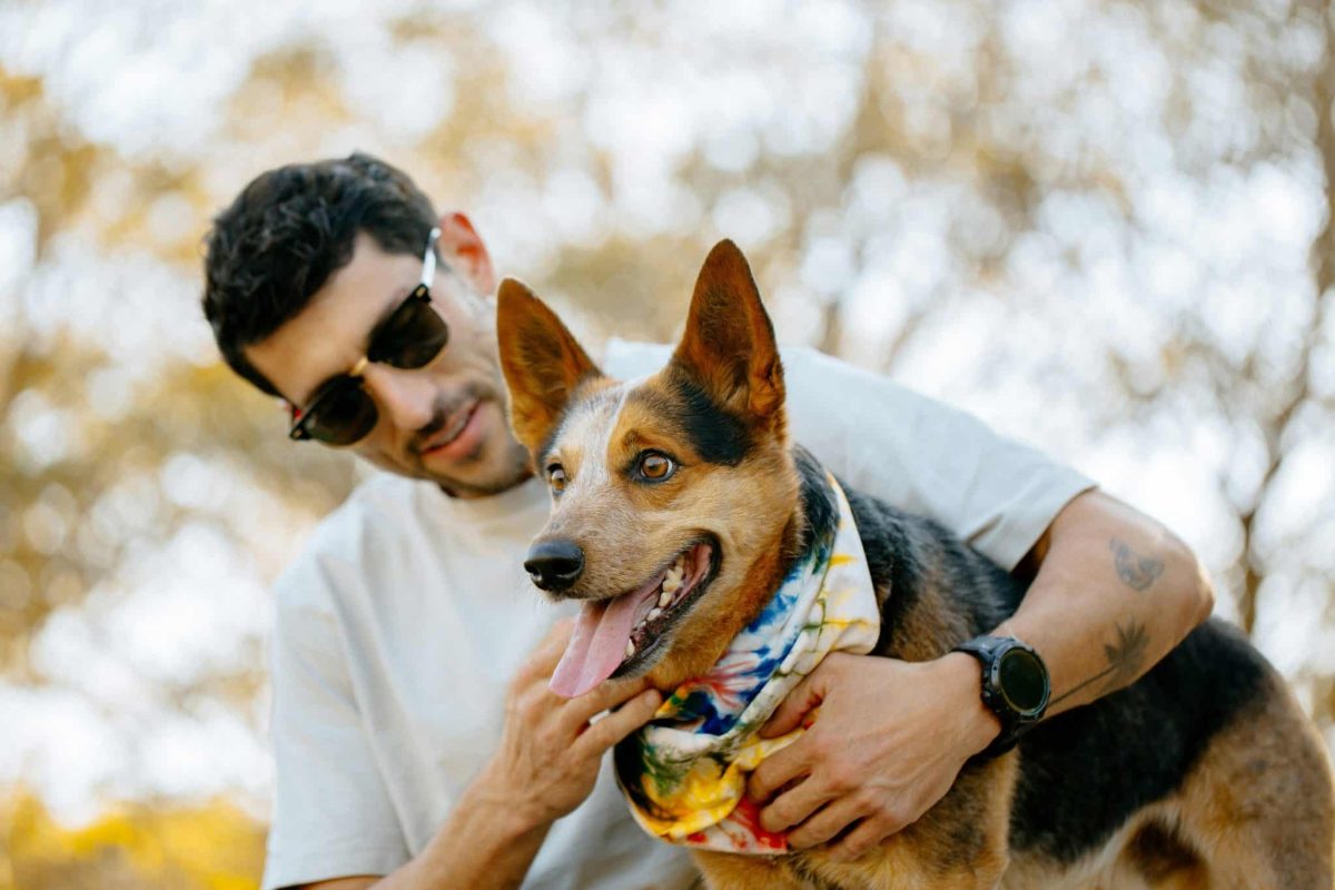 A dog sitting by its owner, radiating loyal, affectionate companionship and trust