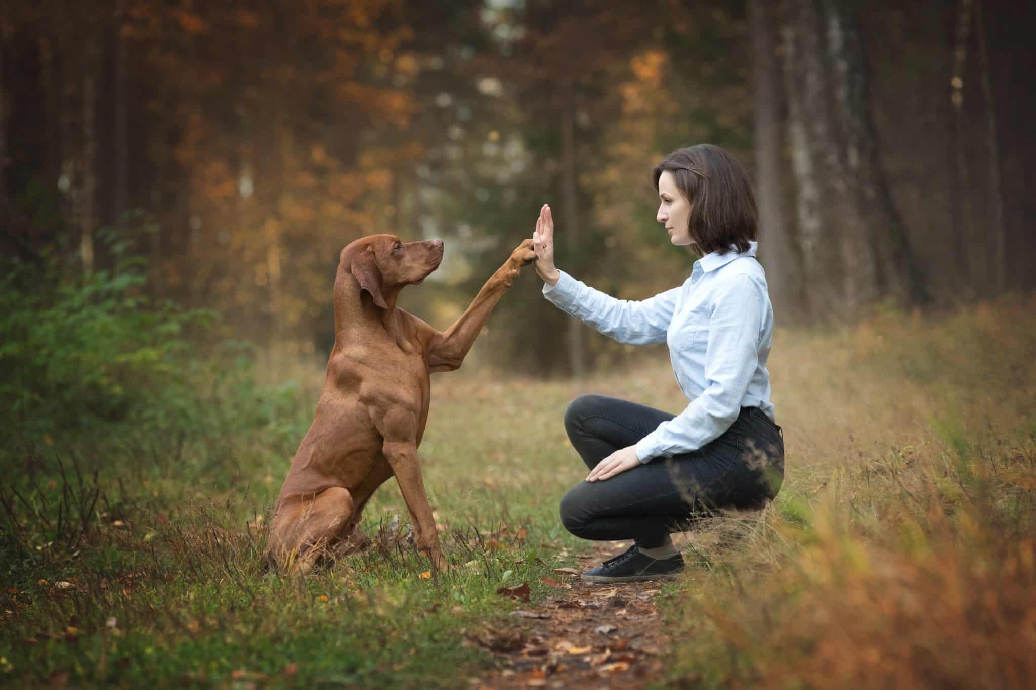 woman dog high five forest park active