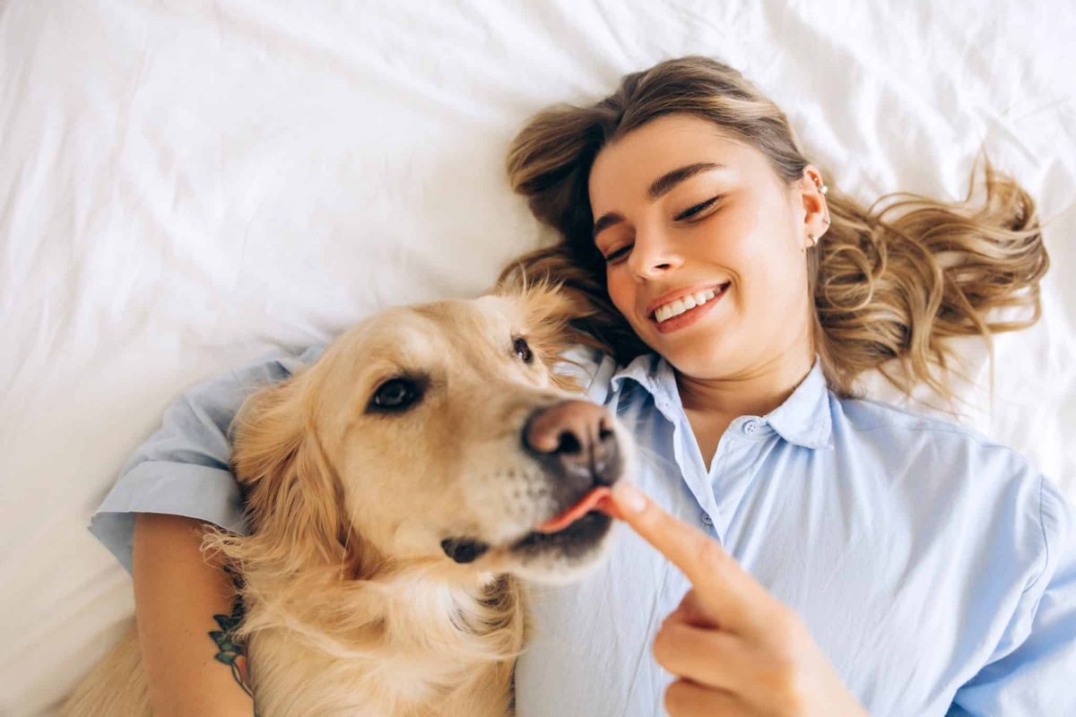 9 Ultimate Dog Breeds For People Who Just Want To Snuggle