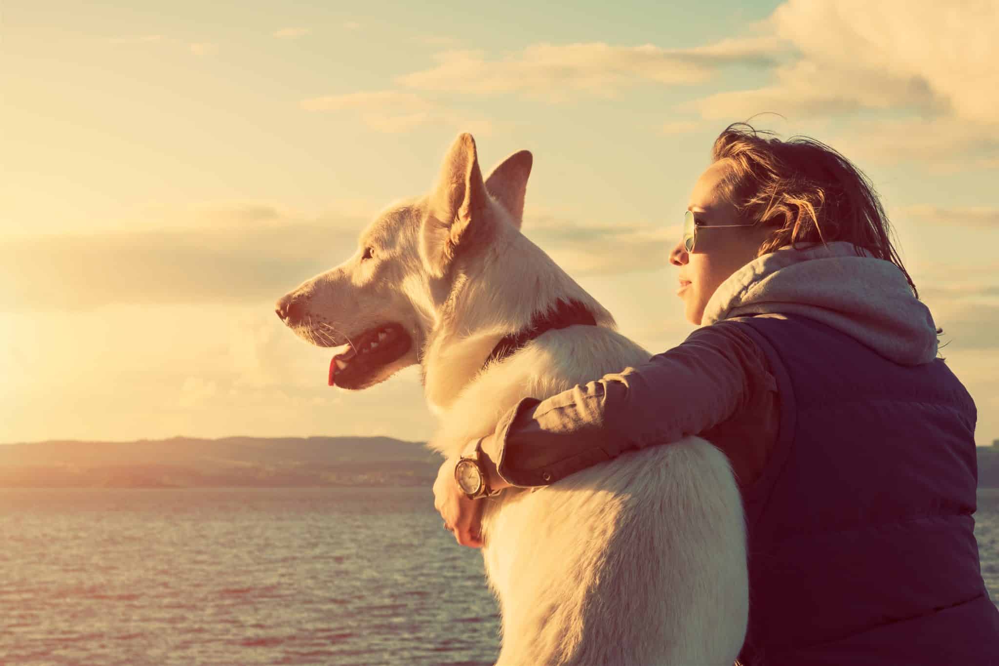 Peace Beach Sunset Lady Dog