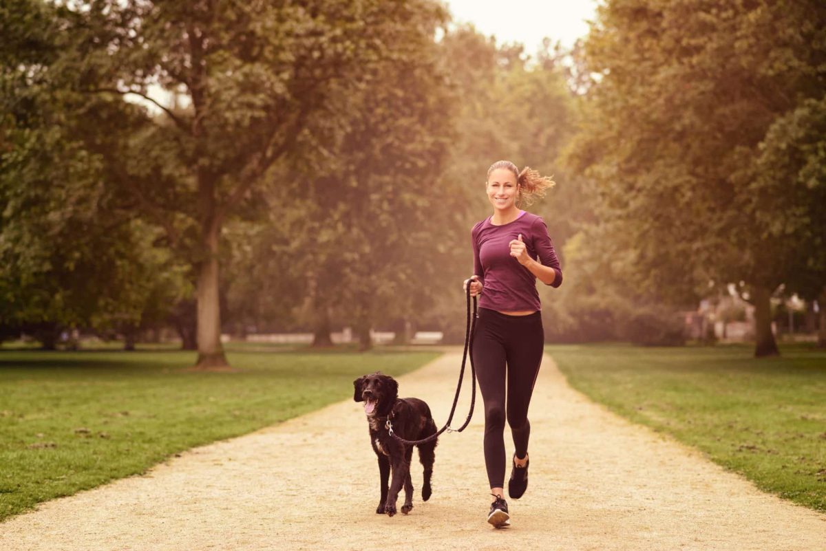 healthy lifestyle dog running