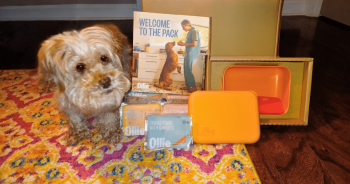PetWireDaily — How Ollie Dog Food Transformed My Picky Senior Dog’s Health