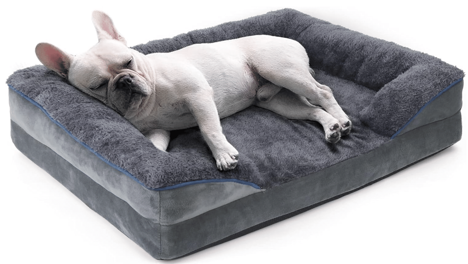 14 Amazon Finds That Prove Dog Parents Have the Best Taste - iHeartDogs.com