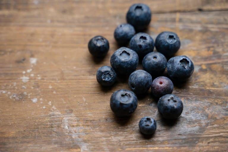Picture of 6 Functional Foods That Support Dogs with Kidney Issues - iHeartDogs.com
