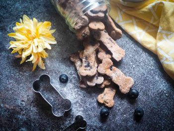Crunchy Homemade Dog Treats with Blueberry, Oats, and Peanut Butter