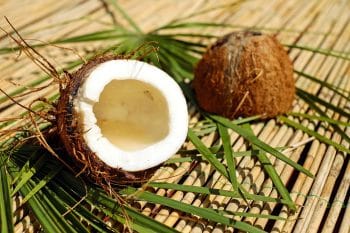 10 Superfoods That Can Naturally Reduce Inflammation in Dogs ...