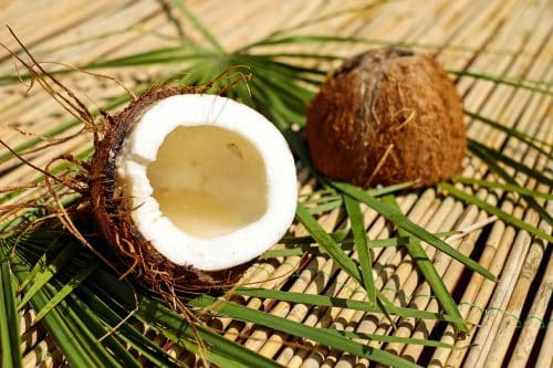 10 Superfoods That Can Naturally Reduce Inflammation in Dogs ... - Dogs And Watermelon For Joint Inflammation Relief