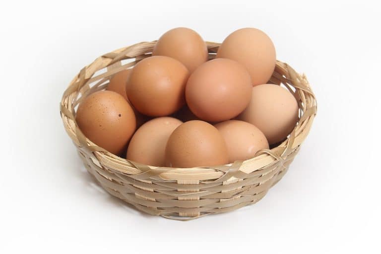Image showcasing 6 Functional Foods That Support Dogs with Kidney Issues - iHeartDogs.com