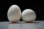 Picture of 5 Foods Rich in Collagen to Support Your Dog’s Joint and Skin Health ...