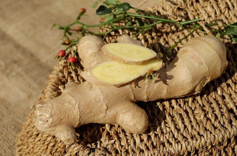 Picture of 7 Natural Anti-Inflammatory Remedies for Dogs with Chronic Pain ...