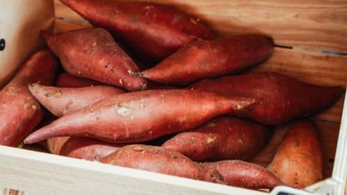 10 Superfoods That Can Naturally Reduce Inflammation in Dogs ... - Raw Apple And Canine Inflammation Reduction