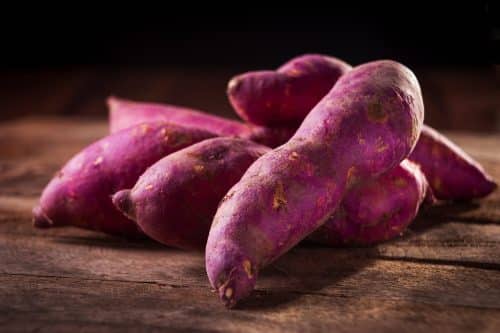 Top 8 Polyphenol-Rich Foods That Can Help Your Dog Fight Aging and ...