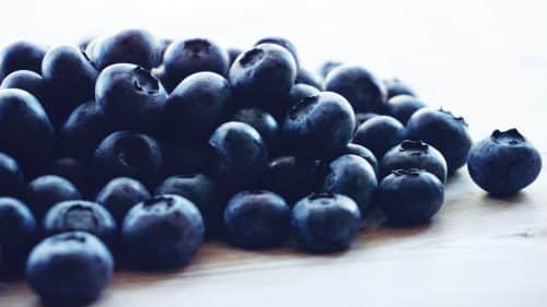 Top 8 Polyphenol-Rich Foods That Can Help Your Dog Fight Aging and ...