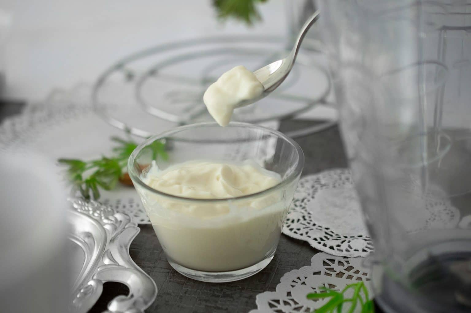 Image showcasing 5 Probiotic-Rich Foods That Support a Healthy Gut for Dogs - iHeartDogs.com