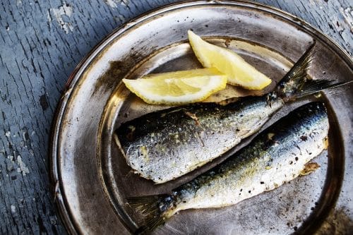 Picture of 6 Functional Foods That Support Dogs with Kidney Issues - iHeartDogs.com