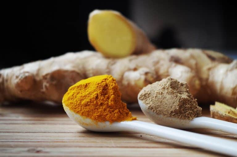 Image showcasing Top 10 Antioxidant-Rich Foods That Might Add Years to a Dog’s Life ...