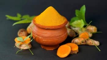 View of 7 Natural Anti-Inflammatory Remedies for Dogs with Chronic Pain ...