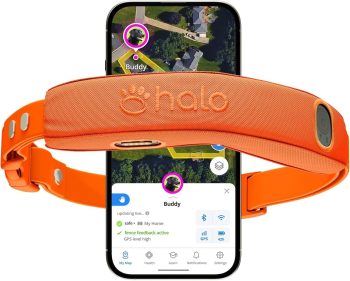  Halo Collar 5 Wireless Dog Fence & GPS Dog Collar,