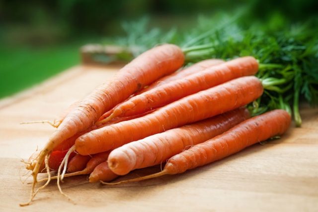 freshly dug up carrots on a wood cutting board