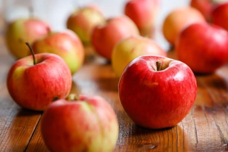 7 Prebiotic-Rich Foods That Support Your Dog’s Gut Health - iHeartDogs.com - Veggies And Dogs Predigested Or Not