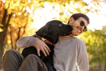 PetWireDaily — 13 Snuggly Dog Breeds That Believe Personal Space Is Overrated
