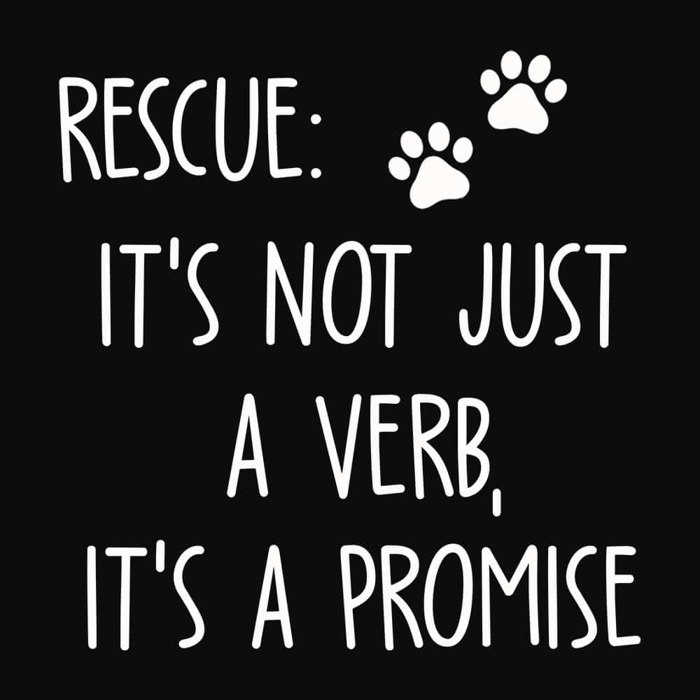 Secondary Product Image