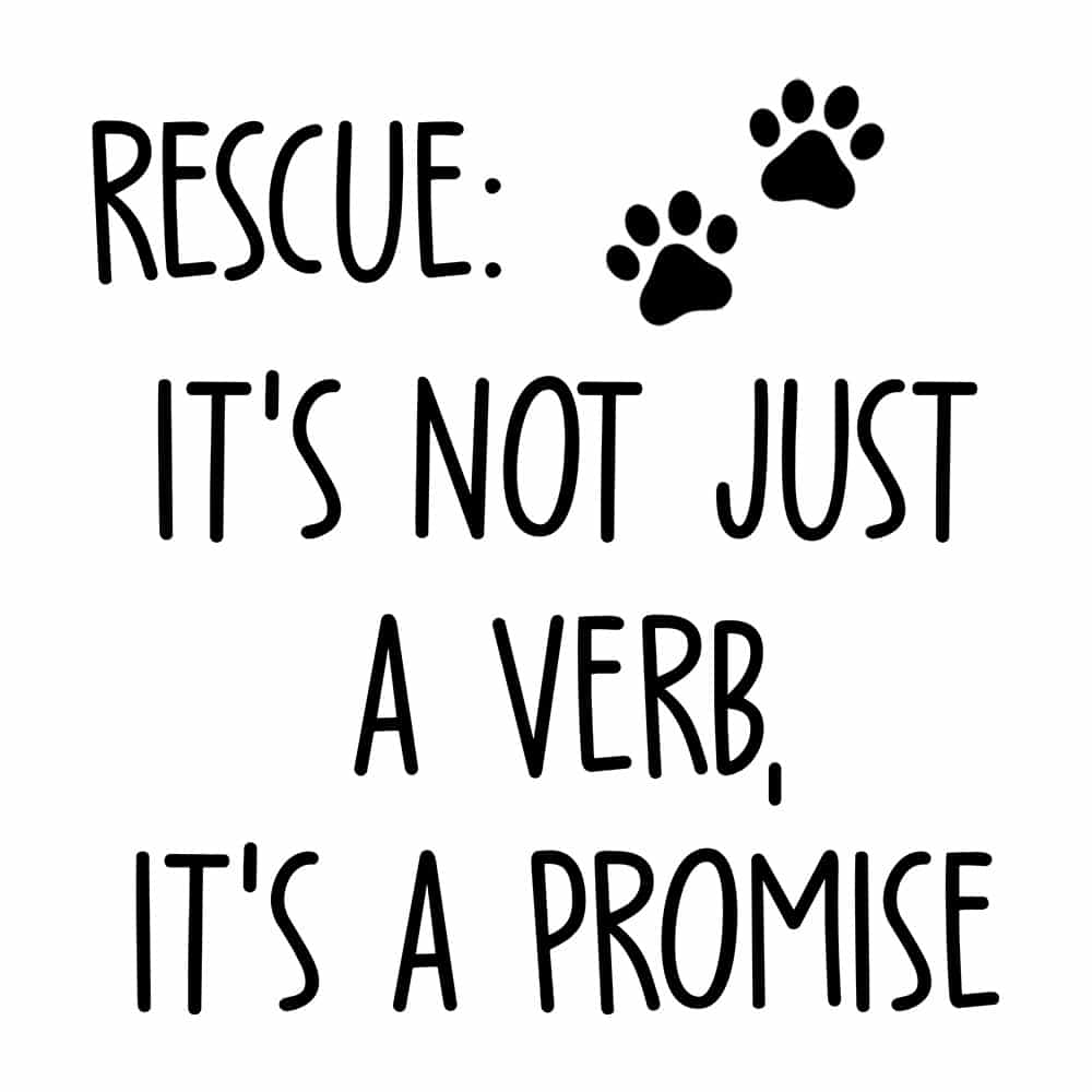 Secondary Product Image