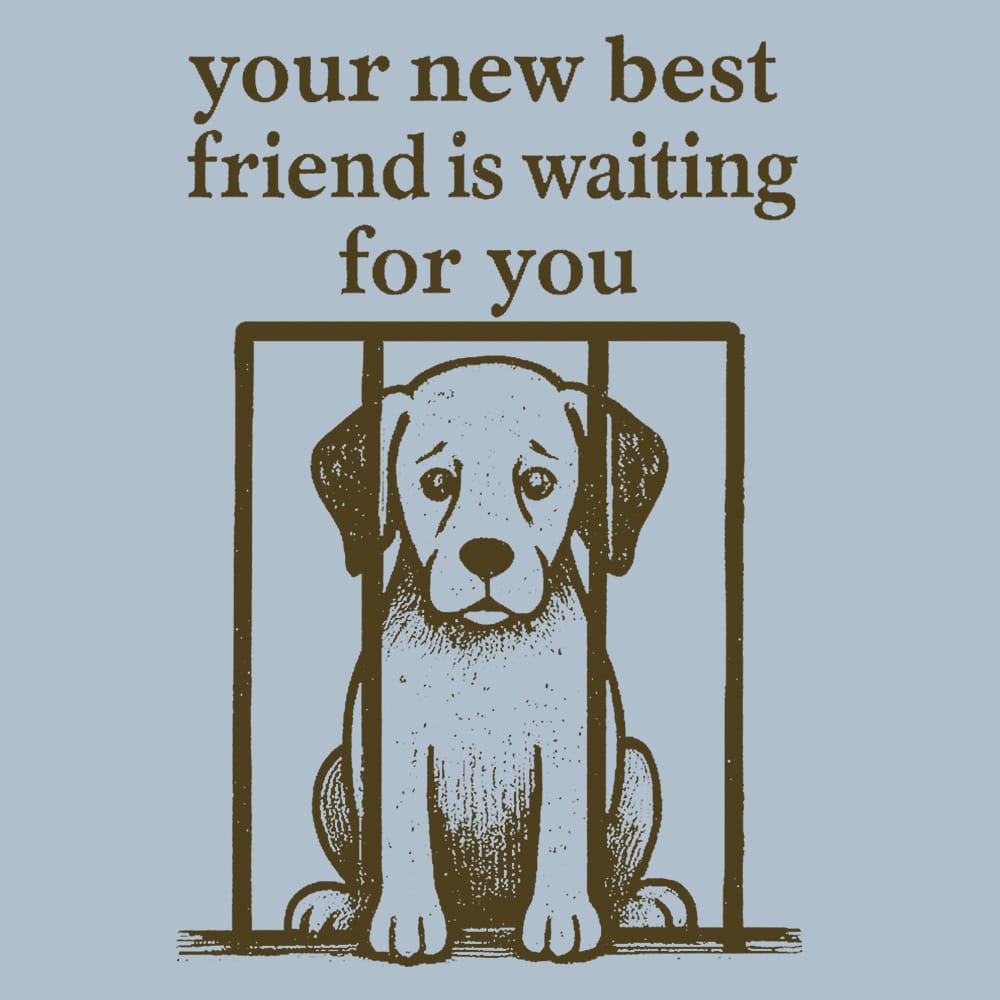 Secondary Product Image