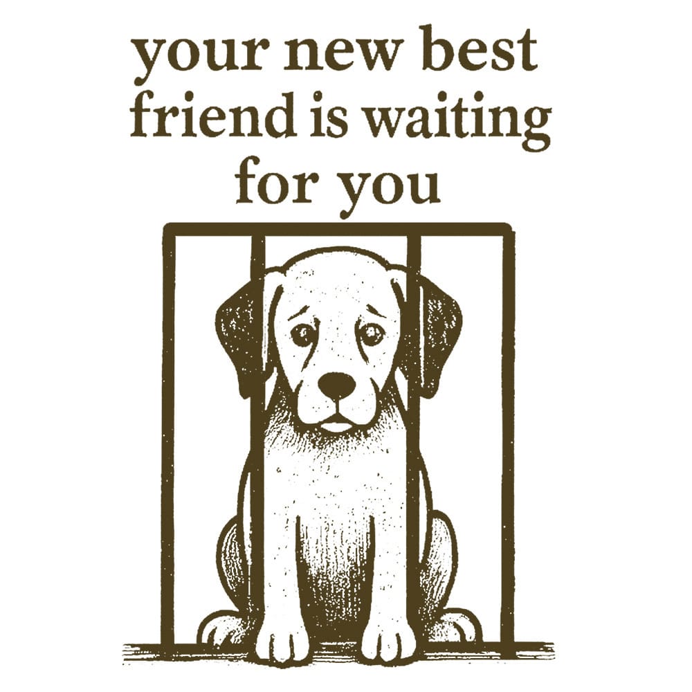 Secondary Product Image