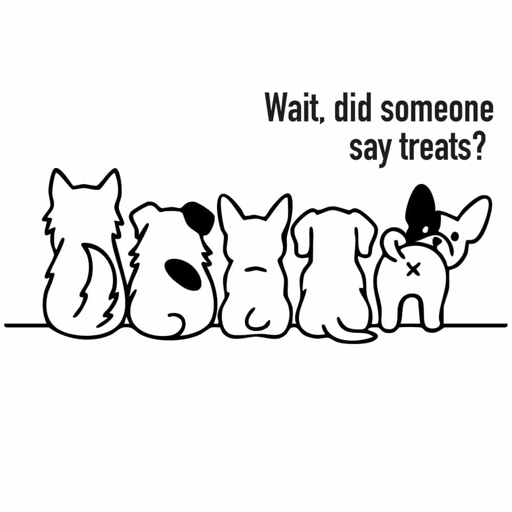 Secondary Product Image