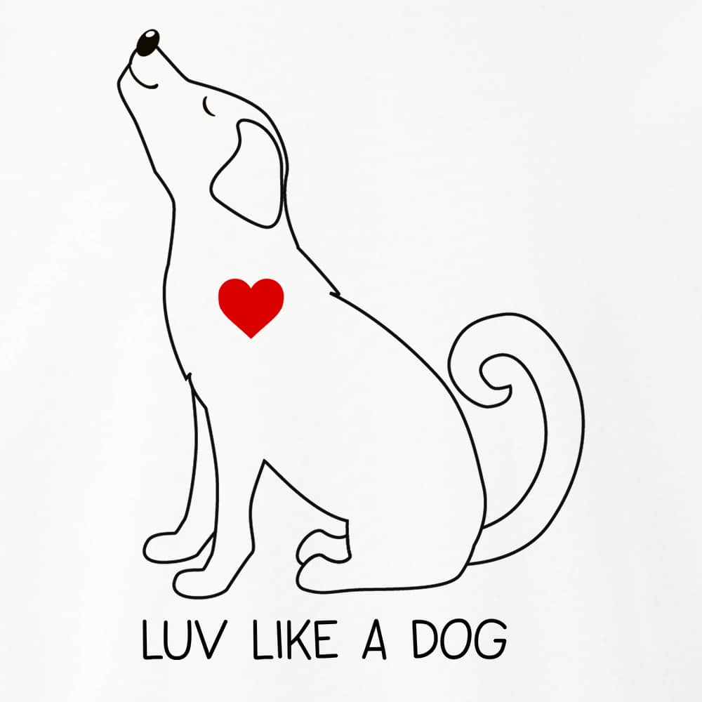 Secondary Product Image