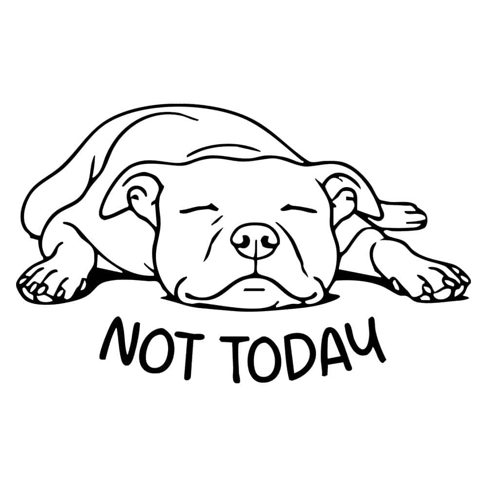 Secondary Product Image